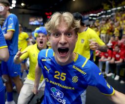Sverige till VM-Final